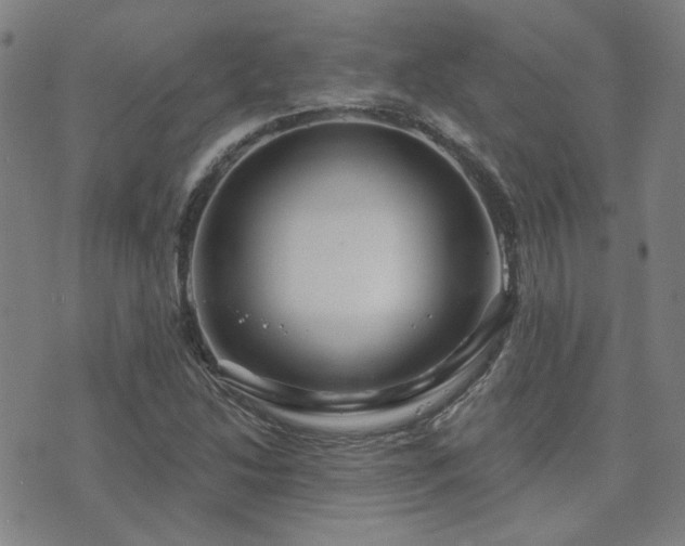 X0000072541214200607141219