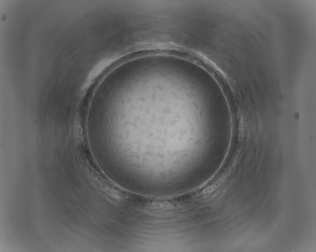 X0000072541215200607141219