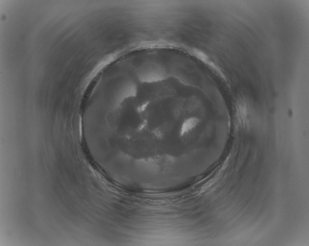 X0000072541221200607141219