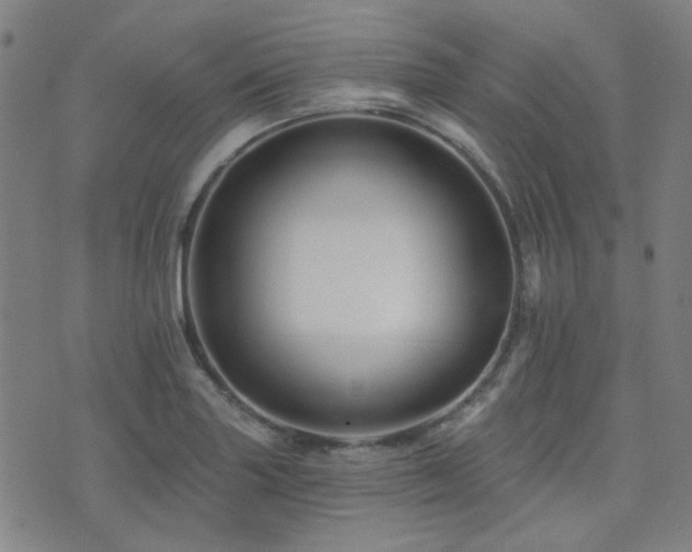 X0000072541227200607141219