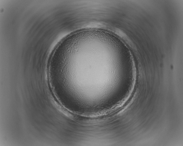 X0000072541232200607141219