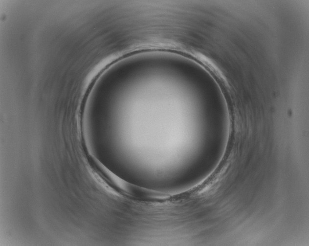 X0000072541238200607141219