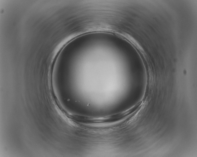 X0000072541246200607141219