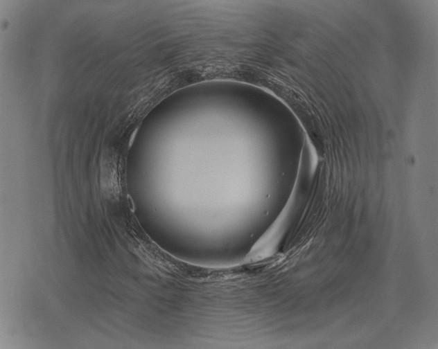X0000072541250200607141219