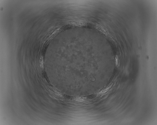 X0000072541251200607141219