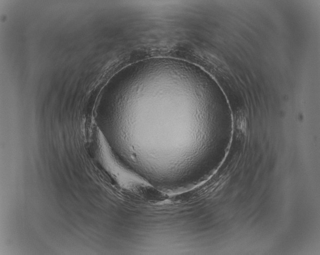 X0000072541252200607141219