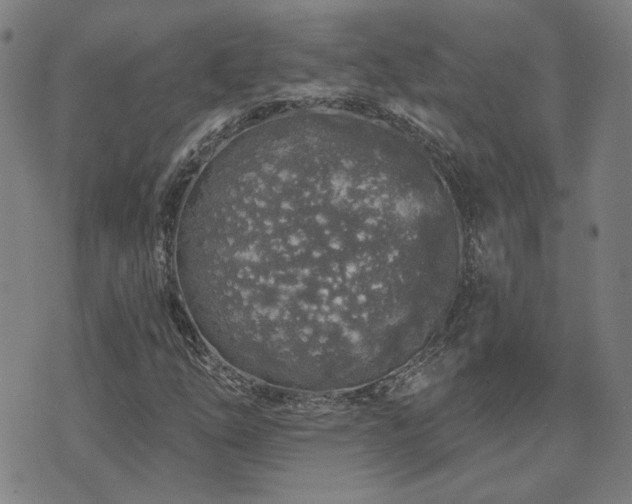 X0000072541254200607141219