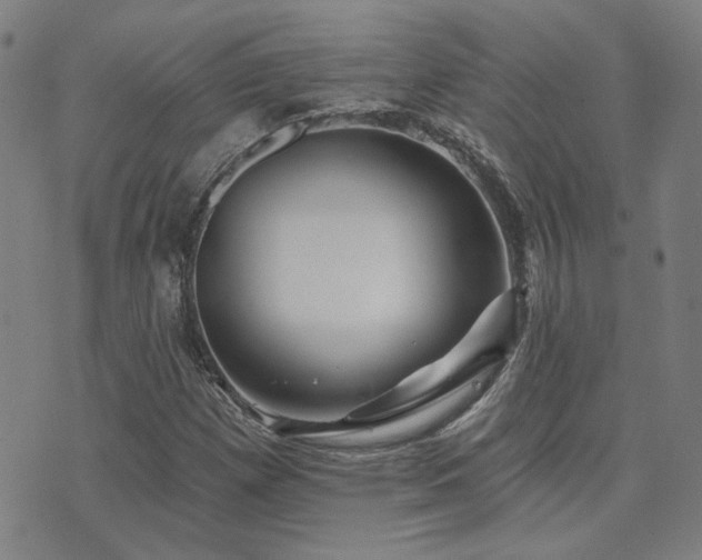 X0000072541257200607141219