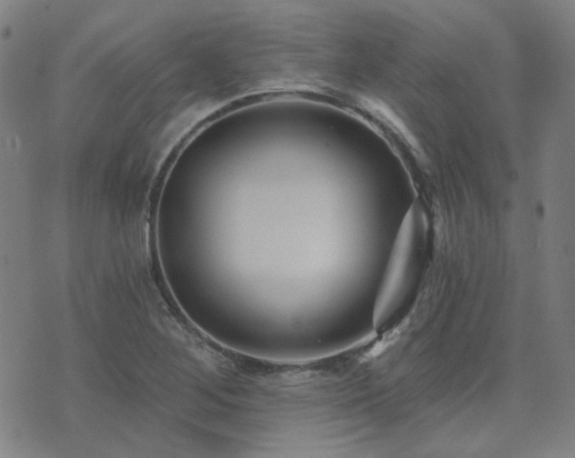 X0000072541268200607141218