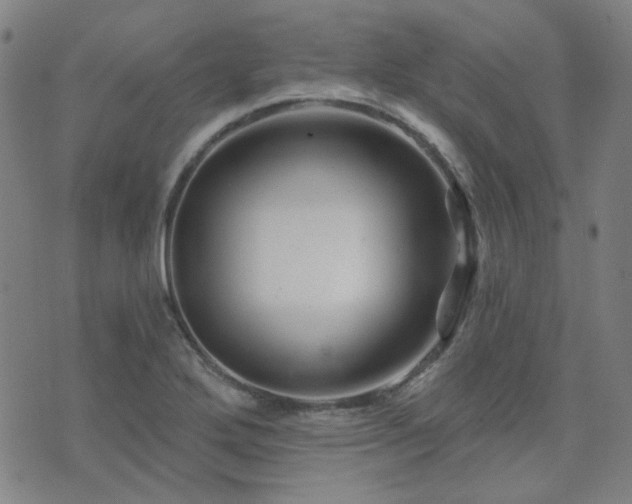 X0000072541272200607141218