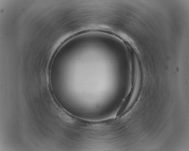 X0000072541280200607141218