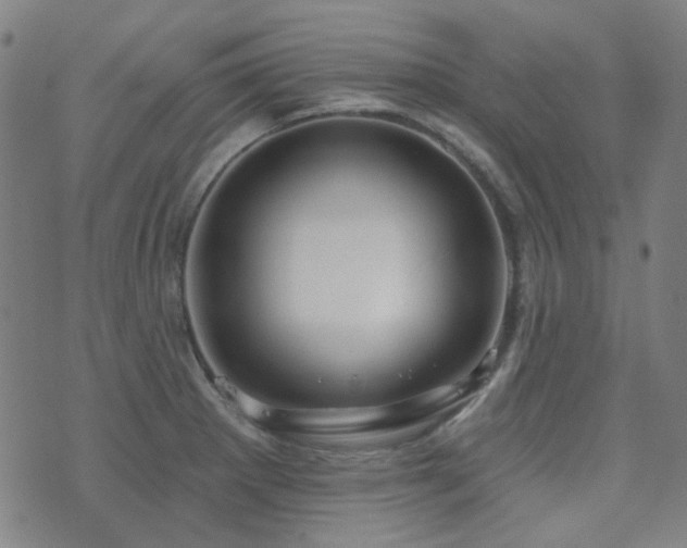 X0000072541281200607141218