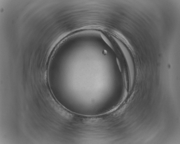 X0000072541284200607141218