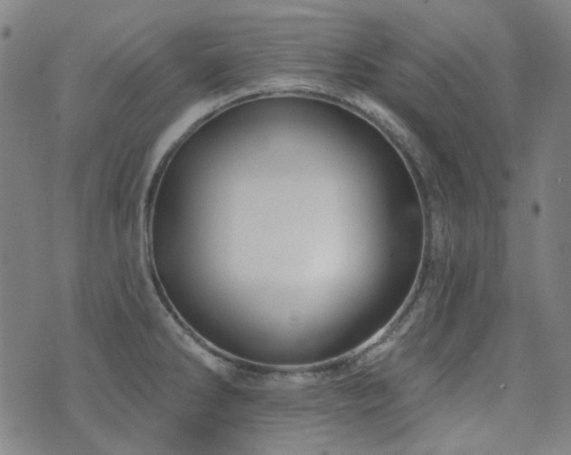 X0000072541286200607141218