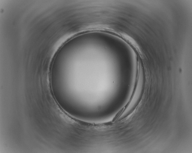X0000072541288200607141218