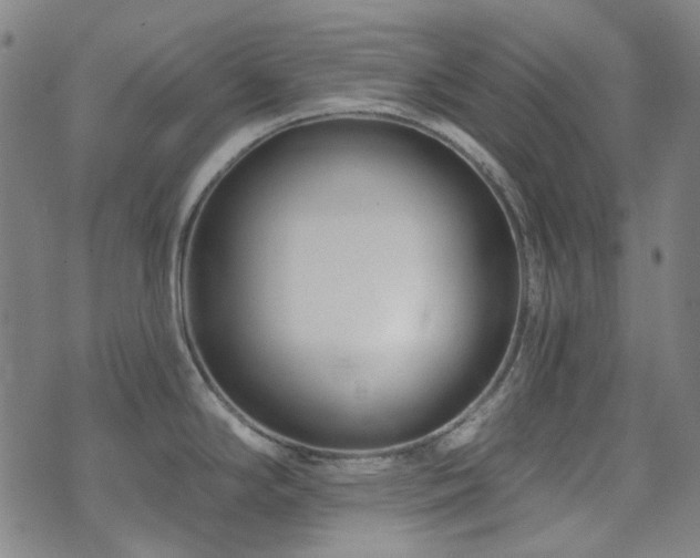 X0000072541294200607141218