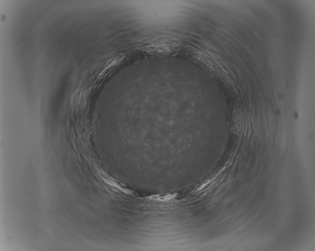 X0000072541297200607141217