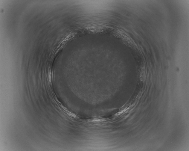 X0000072541298200607141217