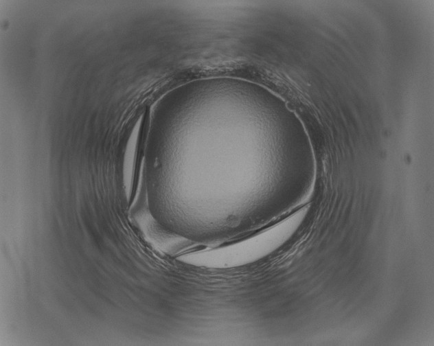 X0000072541300200607141217