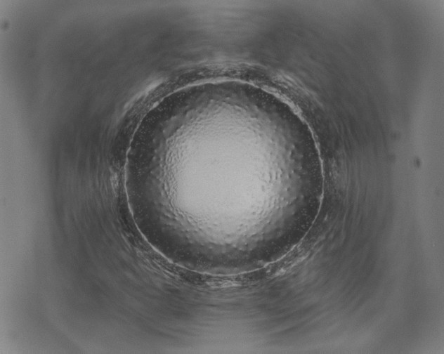 X0000072541302200607141217