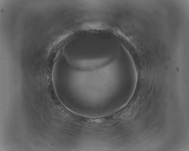 X0000072541303200607141217