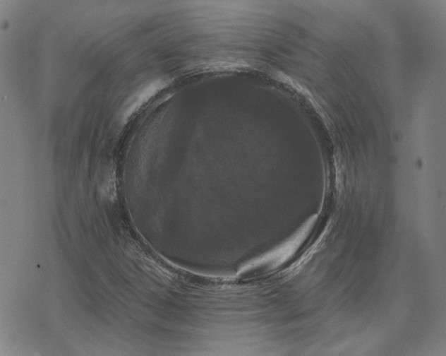 X0000072541306200607141217