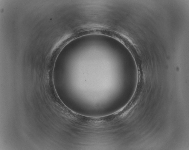X0000072541309200607141217