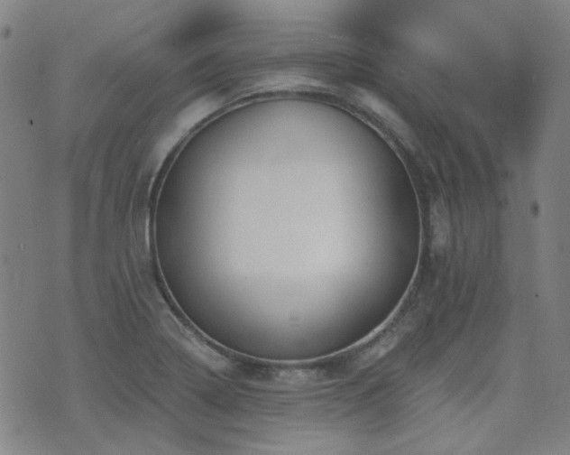 X0000072541322200607141218