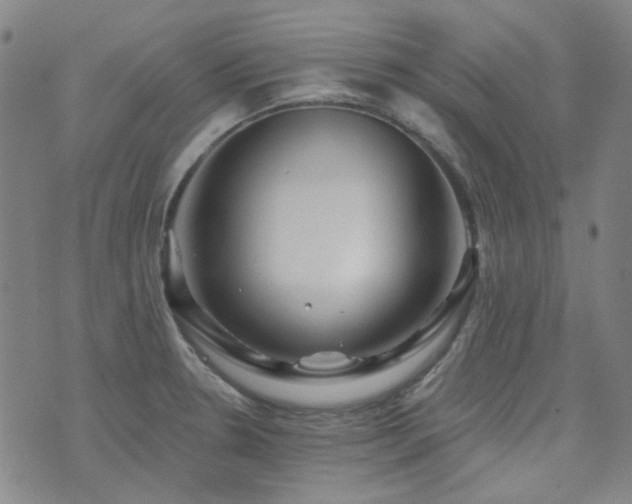 X0000072541330200607141218