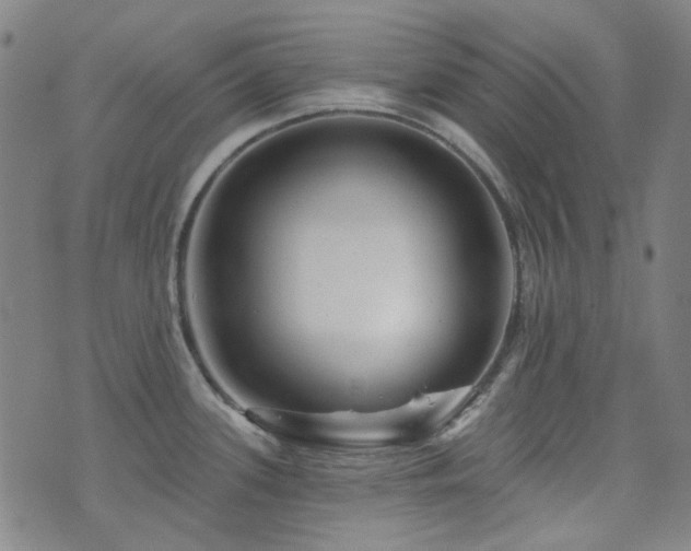 X0000072541339200607141218