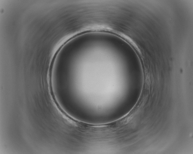 X0000072541343200607141218