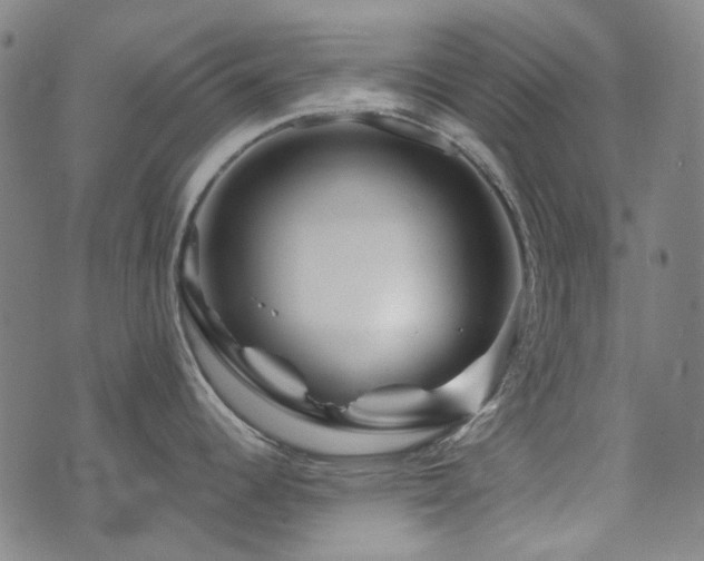 X0000072541344200607141218