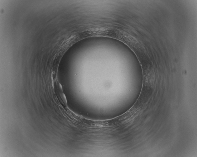 X0000072541346200607141217