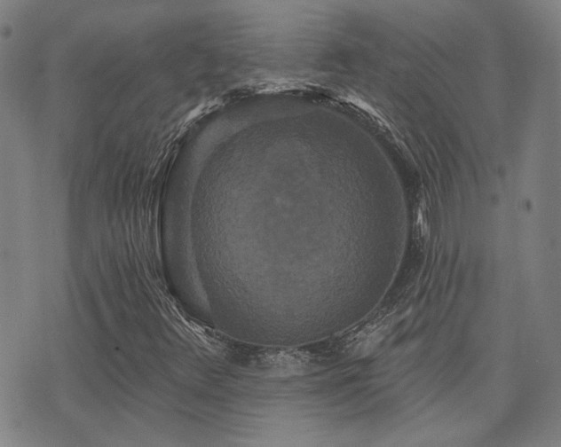 X0000072541348200607141217