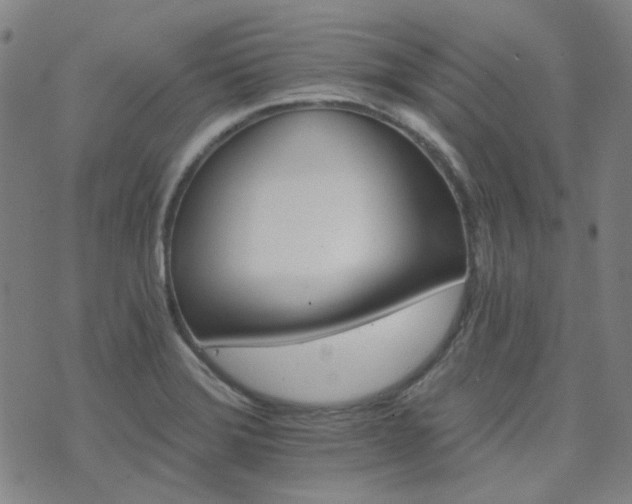 X0000072541372200607141217