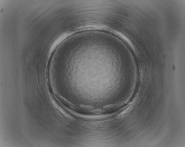 X0000072541373200607141217