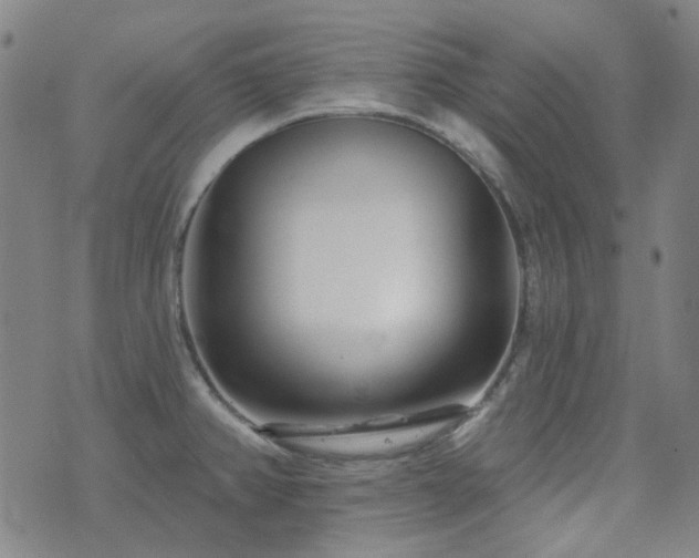 X0000072541382200607141216