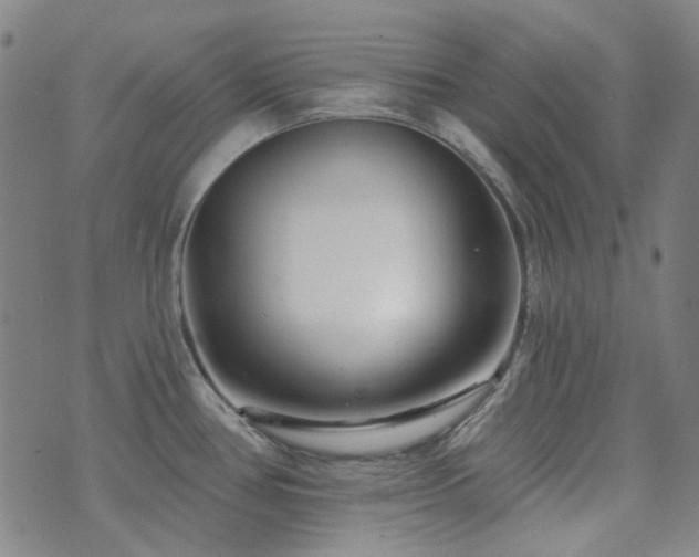 X0000072541386200607141216