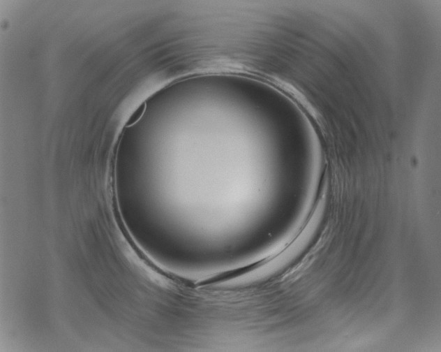 X0000072541387200607141216