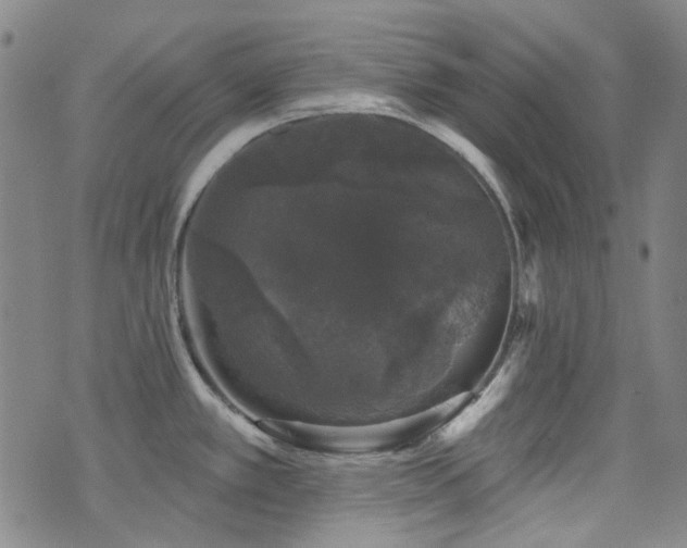 X0000072541389200607141216