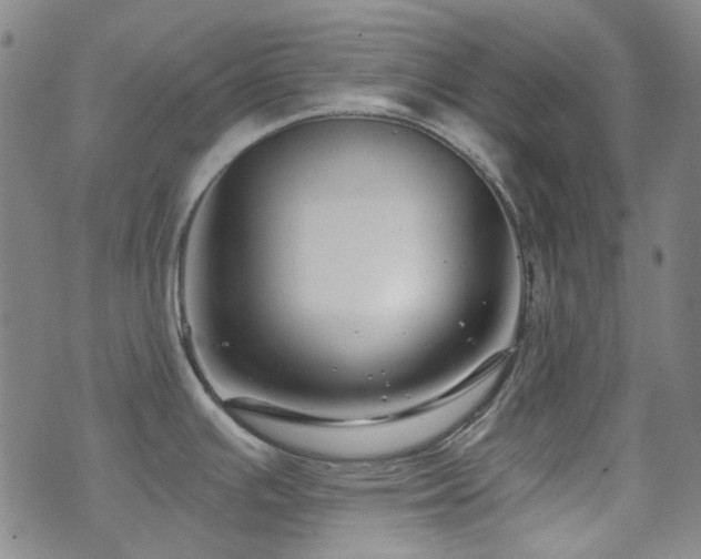 X0000072541391200607141216