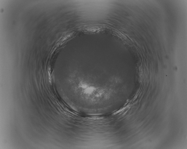 X0000072541394200607141216