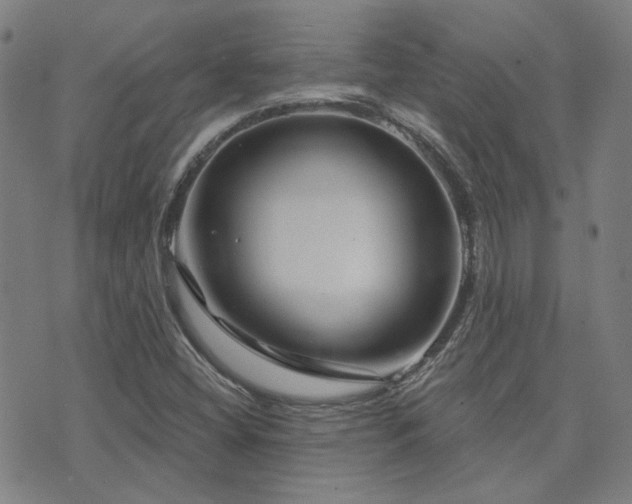 X0000072541404200607141216