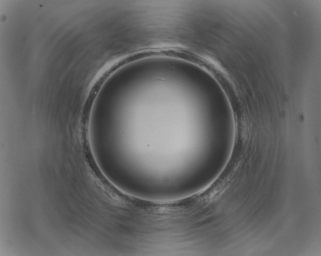 X0000072541412200607141216