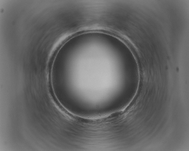 X0000072541416200607141216