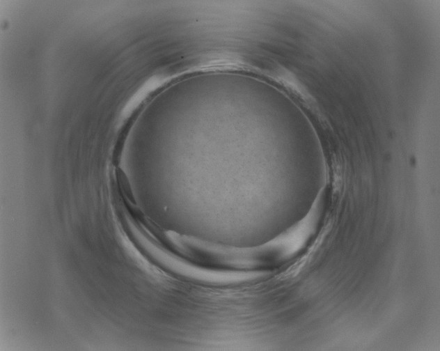 X0000072541422200607141216