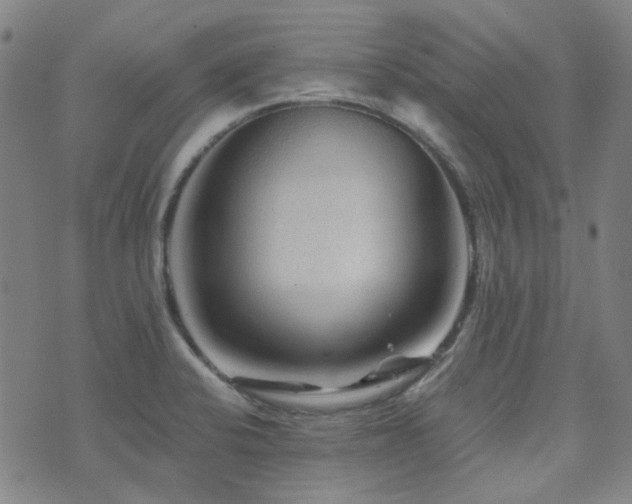 X0000072541424200607141216