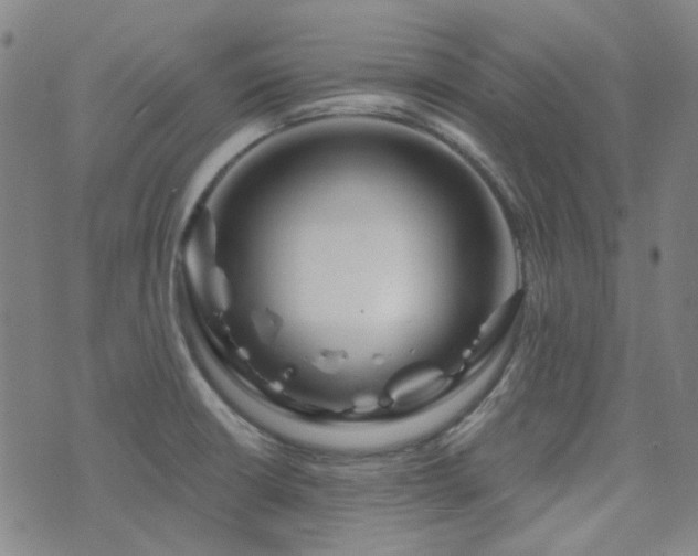 X0000072541426200607141216