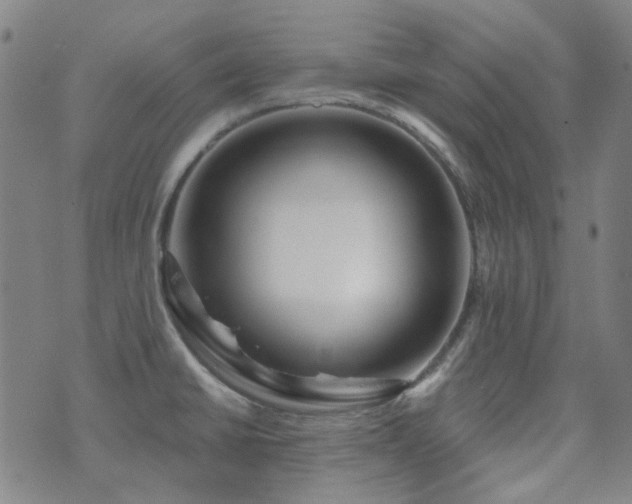X0000072541430200607141216
