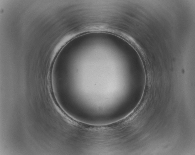 X0000072541432200607141216